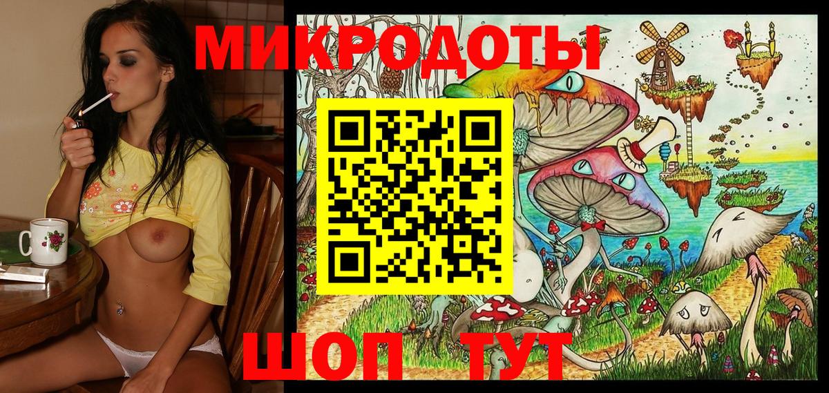 Псилоцибиновые грибы Psilocybine cubensis Ачинск