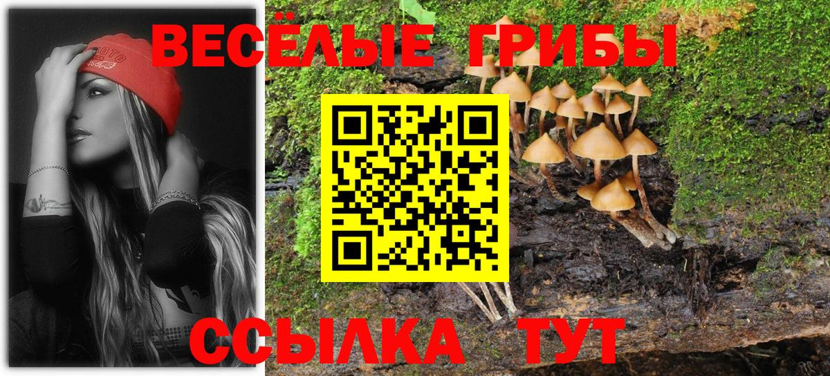 Псилоцибиновые грибы мицелий  где купить наркоту  Ачинск  Вход с VPN 